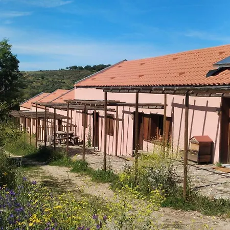 Monte Barata Wildlife Tourism Castelo Branco (Centro)