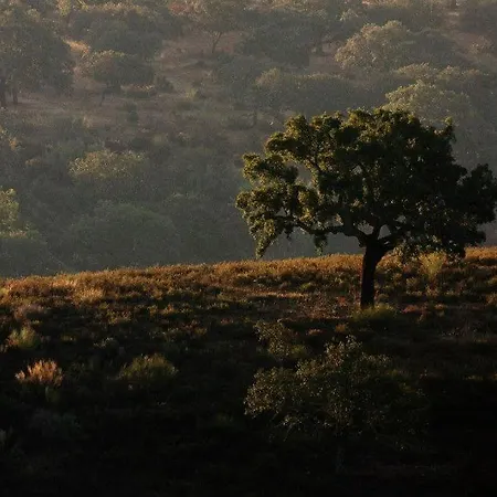 Monte Barata Wildlife Tourism Castelo Branco (Centro)